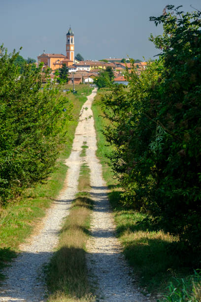 Rural landscape along the Po cycle path Rural landscape along the Po cycle path near Orio Litta (Lodi, Lombardy, Italy) at summer lodi italy stock pictures, royalty-free photos & images