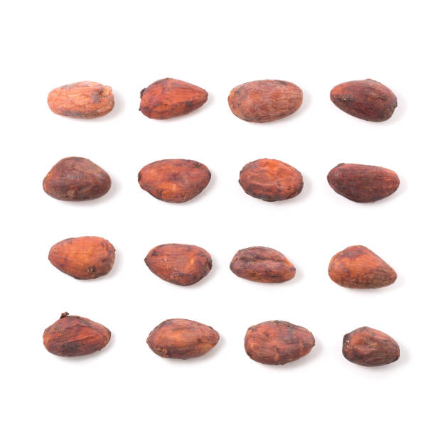 istock Cocoa fruit, raw cacao beans isolated on a white background 945160050
