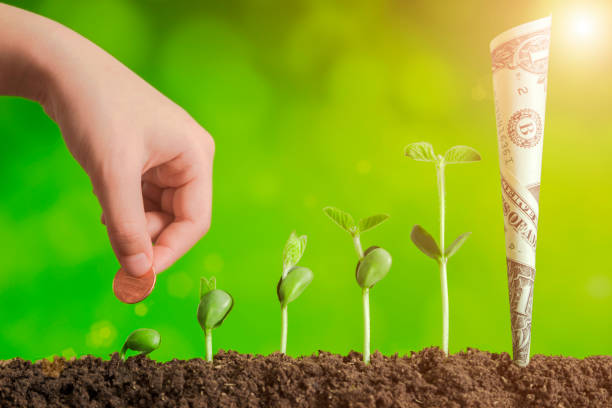 istock bussiness investment:coin growing in soil on green background 945169264