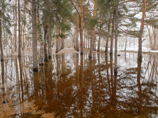 istock Flooding in the park 945170952
