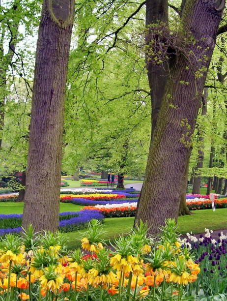 istock Spring Flowers blooming in a Park 945183748