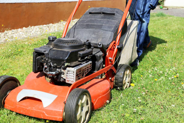 istock Cutting and trimming the lawn 945187292