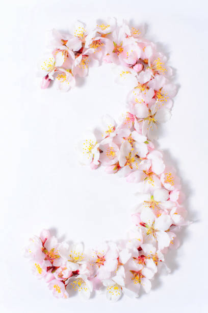 istock Arabic numerals laid out from spring pink flowers 945195550