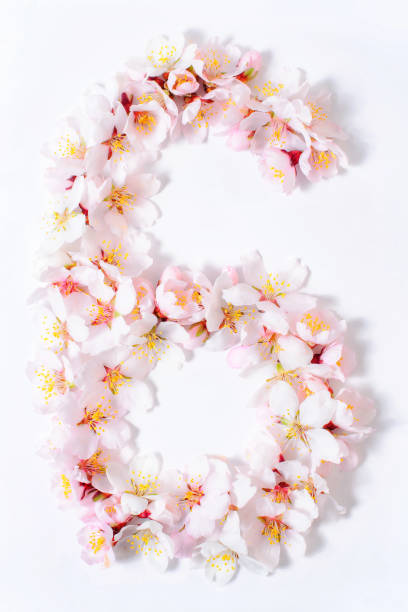 istock Arabic numerals laid out from spring pink flowers 945195674