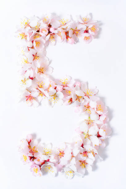istock Arabic numerals laid out from spring pink flowers 945195676