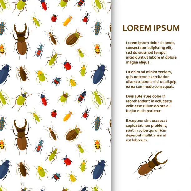 Vector illustration of Flat poster or banner template with bugs