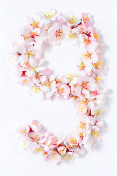 istock Arabic numerals laid out from spring pink flowers 945196630