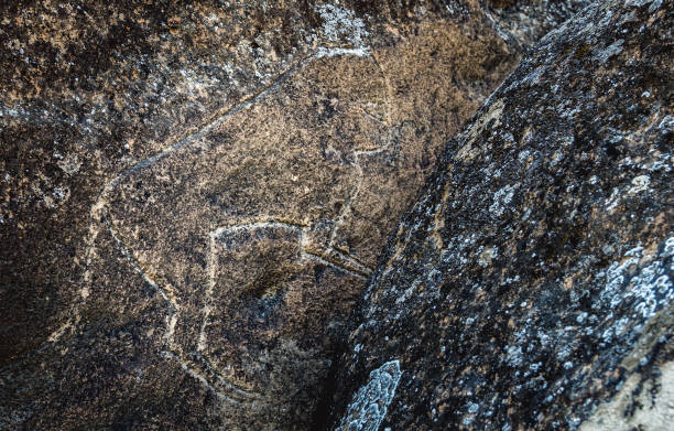 istock Ancient prehistoric drawings of various animals on the rock 945200158