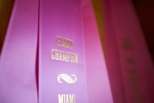 розовый лучший в шоу порода чемпион лента - best in show стоковые фото и изображения