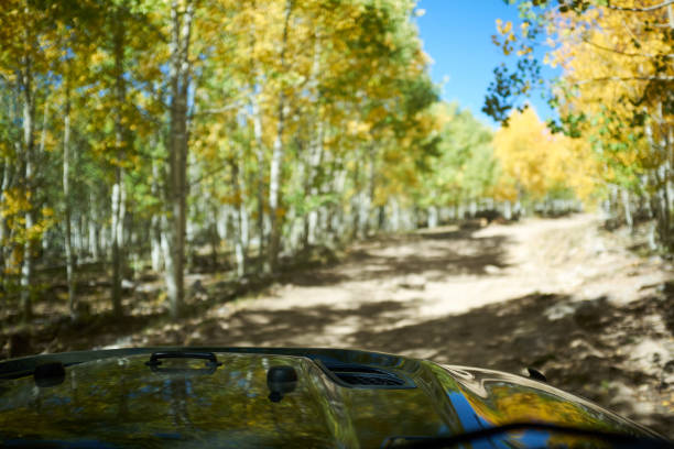 istock Driving in a jeep in Flat Tops, Colorado 945213650