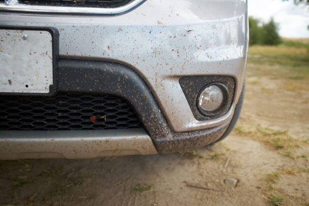 Mud and insect splattered front bodywork of a car stock photo