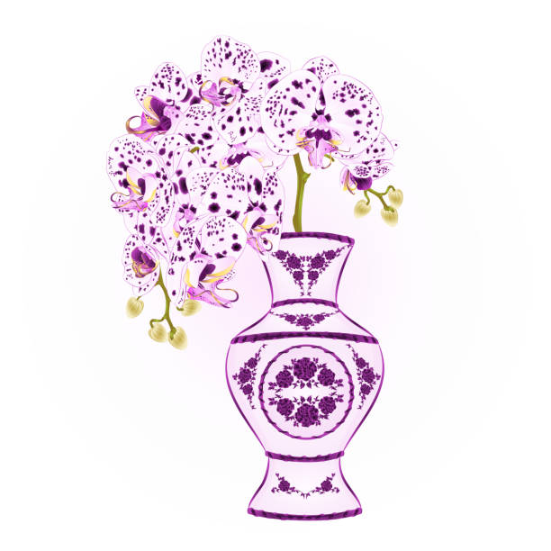 ilustrações de stock, clip art, desenhos animados e ícones de orchid phalenopsis with dots  purple and white in a vase of porcelain red hibiscus and butterfly  vintage vector illustration editable - butterfly single flower vector illustration and painting