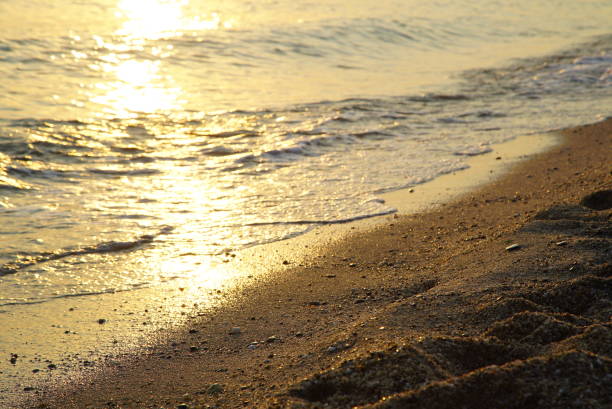 istock Golden sea water splashing a sandy seashore. 945218390