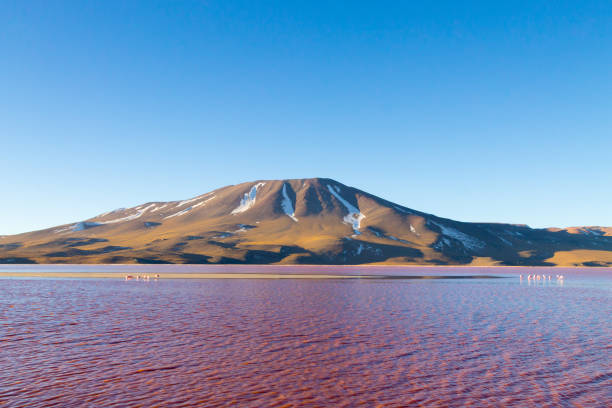 istock Laguna Colorada view, Bolivia 945225766