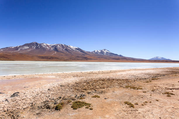 istock Laguna Hedionda view, Bolivia 945230274