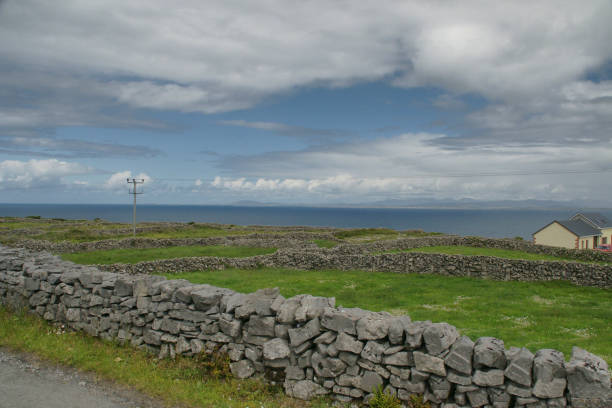 View of Galway Bay and Connemara across the fields and dry stone walls of Inishmore, Aran Islands The view from Cottage Road out of Kilronan village looks over fields enclosed by dry stone walls of limestone, the grass a luxuriant green.  In the distance are the 12 Bens mountain range of Connemara.  The Aran island of Inishmore, County Galway, Ireland. michael stephen wills aran stock pictures, royalty-free photos & images