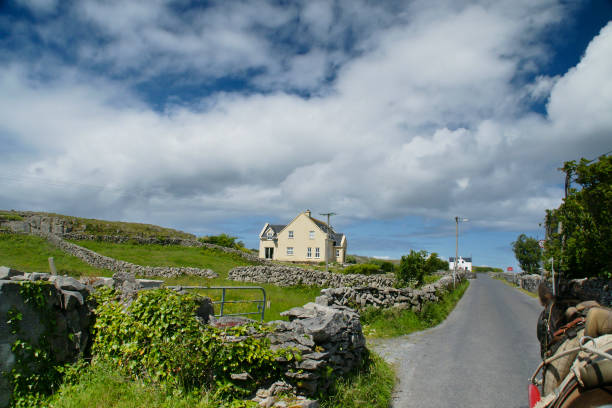 Rural Road, Inishmore, Aran Islands Riding a horse and trap on Cottage Road from Kilronan village, Inishmore, Aran Islands, Country Galway, ireland michael stephen wills aran stock pictures, royalty-free photos & images