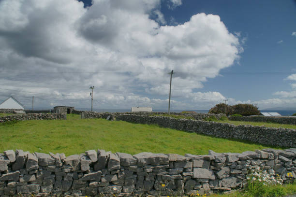 Dry stone walls around field, Inishmore, Aran Islands View of a field enclosed in dry stone walls along Cottage Road out of Kilronan village and looking out over Galway Bay, Inishmore, Aran Islands, County Galway, Ireland michael stephen wills aran stock pictures, royalty-free photos & images
