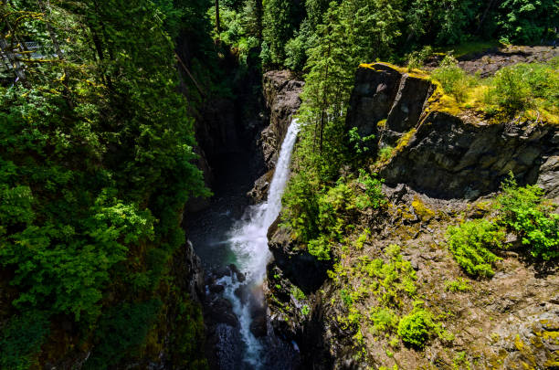 View from Elk Falls Suspension Bridge on a Waterfall - Vancouver Island stock photo