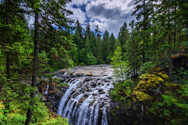 istock Elk Falls Provincial Park - Vancouver Island 945237466