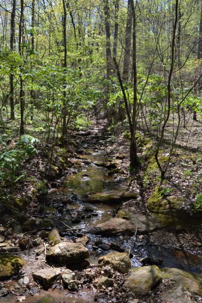istock Mountain Creek at Little Mulberry Park, GA 945237524