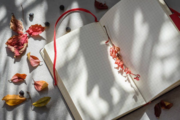 istock Open school notebook in cage, sunny fall day, background with copy space for text and autumn leaves, romantic mood. Top view. Concept of of starting school, back to school, education 945237844