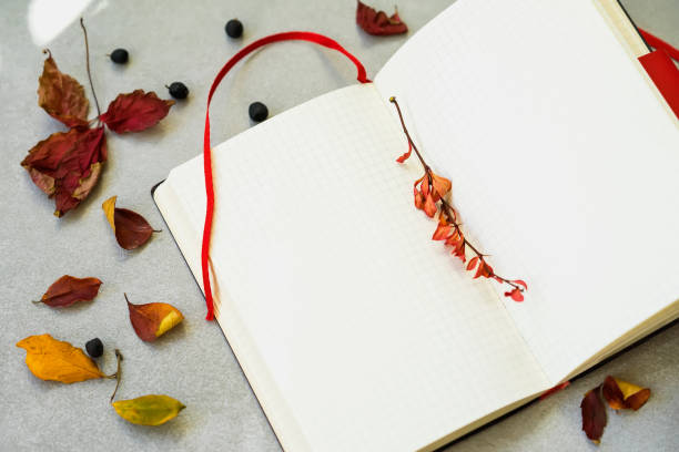 istock Empty school notebook in cage, copy space for text, autumn leaves. Top view. Concept of of starting school, back to school, education 945237872