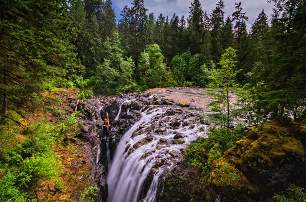 istock Elk Falls Provincial Park - Vancouver Island 945238170