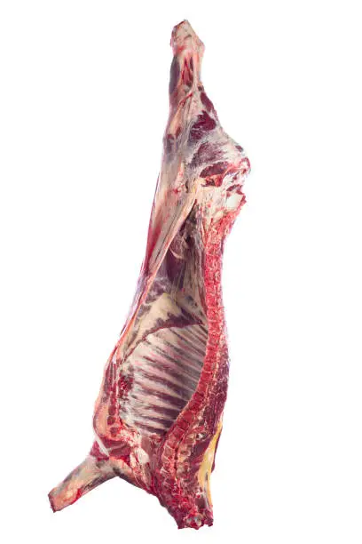 Photo of Veal