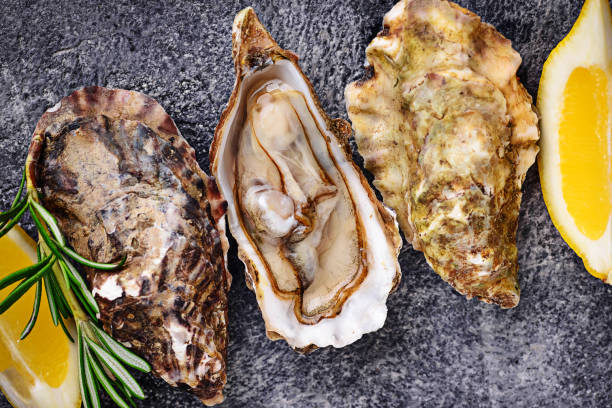 istock Fresh oysters with lemon and rosemary 945251336