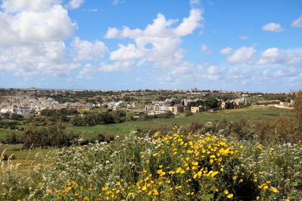 istock Spring time in the south of Malta 945259530