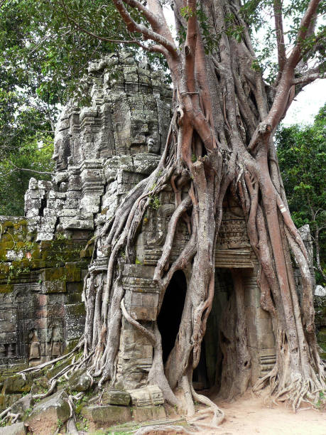 istock Abandoned temple, Angkor Wat, Cambodia 945260308