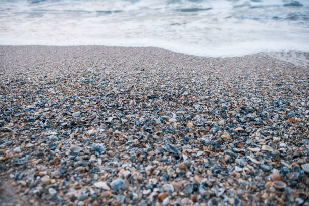 This is a horizontal, color photograph of the beach landscape in Fernandina Beach on Amelia Island, Florida of Atlantic Ocean sea waves ending on the sandy, shell covered coastline.