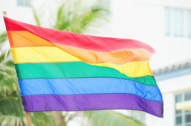 istock Gay Pride Rainbow Flag Waving Against Palm Trees 945289156