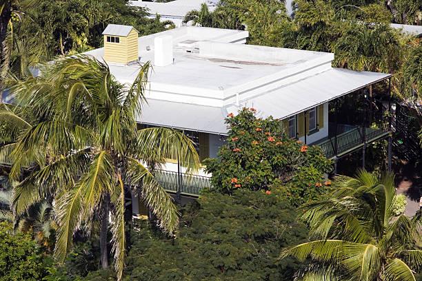 Hemingway's house  hemingway house stock pictures, royalty-free photos & images