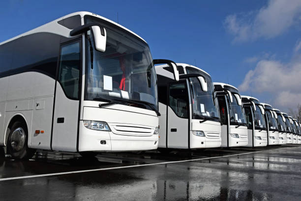 White tourist buses in a row Front right side shot on the white tourist buses in a row on the parking. coach bus photos stock pictures, royalty-free photos & images