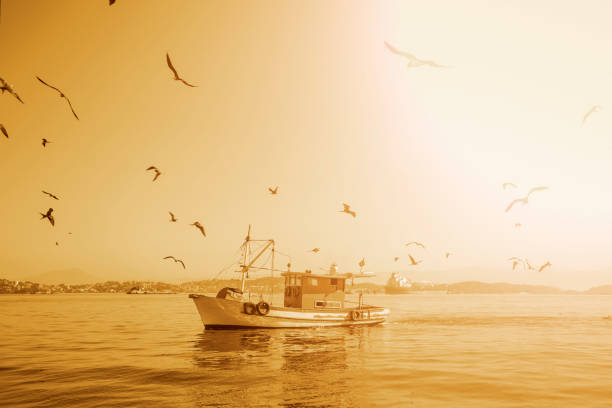 istock Fishing boat early morning 945321096