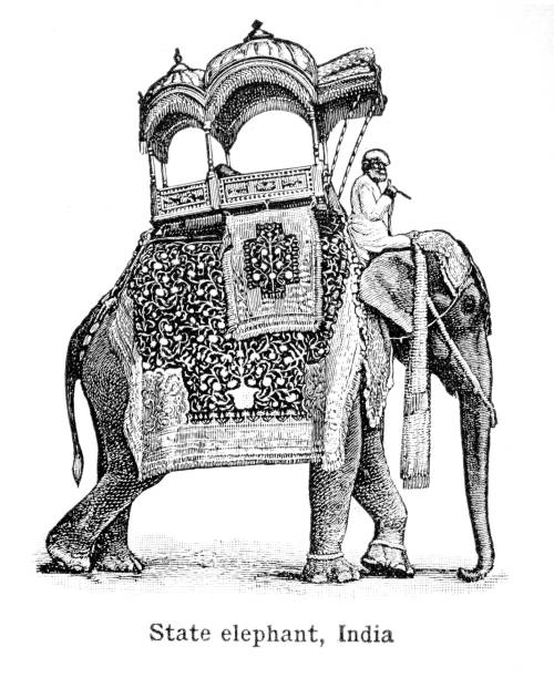 Indian elephant engraving 1892 Frye Grammar School Geography - 1892 indian elephant stock illustrations