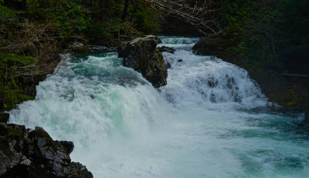 istock Opal Creek Preserve Agua 945337572