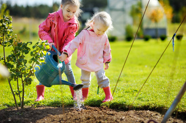 deux petites filles, aider dans un jardin - heavy plant photos et images de collection