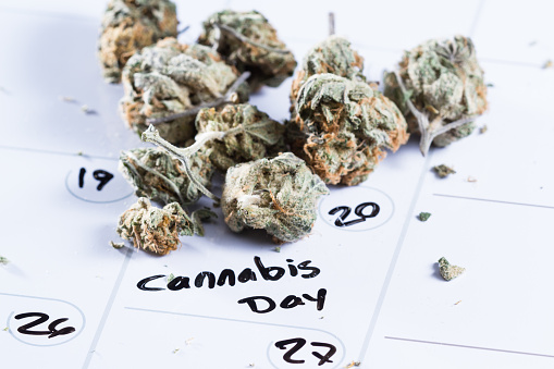 close up image for a concept using a calendar, a cannabis bud and a black marker to write the words cannabis day