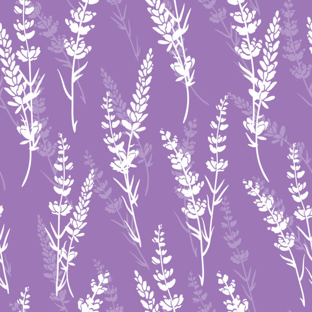 Fiori di lavanda motivo vettoriale viola senza cuciture. - illustrazione arte vettoriale