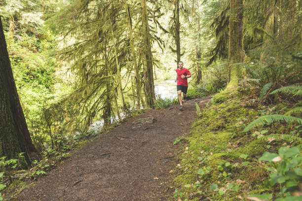 istock Male athlete trail running in forest 945350652