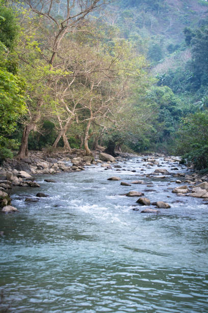istock stream in tropical forest in Ha Giang, Vietnam 945364270