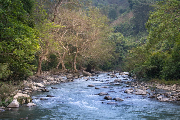 istock stream in tropical forest in Ha Giang, Vietnam 945364290