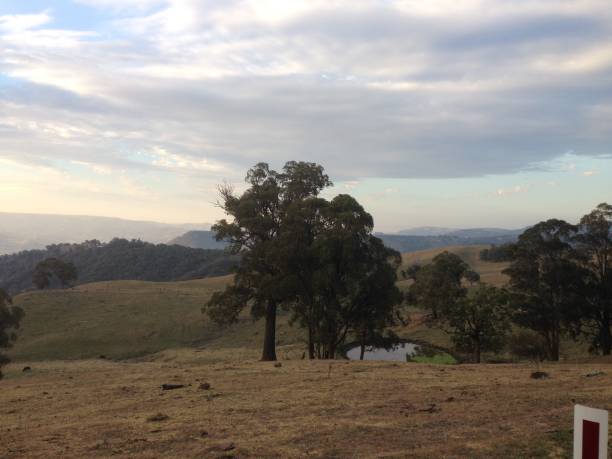 160 Barrington Tops National Park Photos Stock Photos Pictures 160 Barrington Tops National Park Photos Stock Photos Pictures