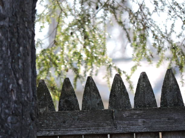 istock Wooden fence background 945378724