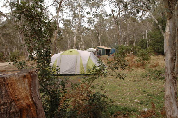 istock camping in tent in rainforest 945380396