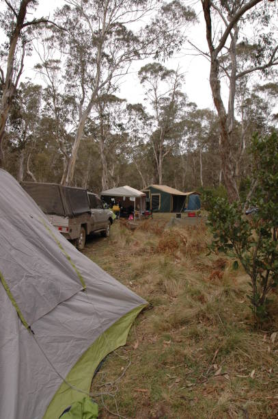 istock camping in tent in rainforest 945380612