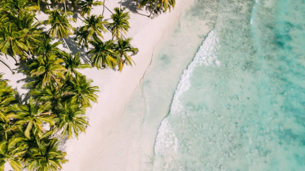 istock Beach with beautiful coastline. Palm trees 945383856